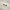 Custom Metallic Inlay Rivet Tags - Black